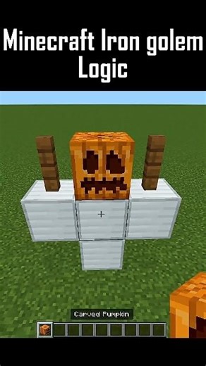 Minecraft Iron Golem Logic is BROKEN! 🤖😂 #minecraft #shorts