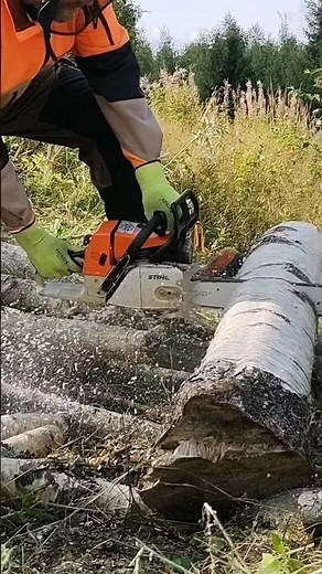 Stihl 034 Super - Cutting Firewood