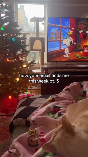 Crafting Effective Emails: Tips and Insights