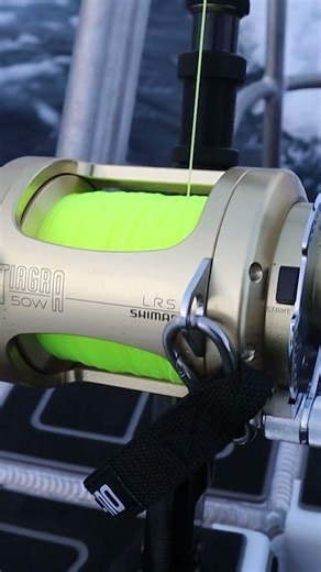 Game Fishing Tip Use Simrad Temp Track