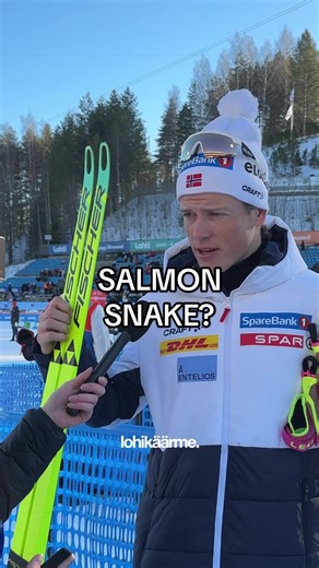 Discover the Finnish Word for Salmon Snake