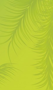 Indoor - BEO-Funpark