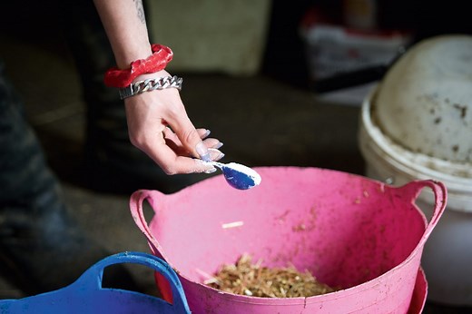 Understanding probiotics: your complete guide