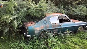 230K views · 2.7K reactions | For business questions please contact -...