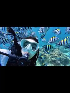 Sanya’s Wuzhizhou Island = underwater wonderland! First snorkel trip = saw tons of fish & sea creatures. So hyped I couldn’t stay quiet: the coach even laughed! Still can’t get over how epic it was. 🐠🌊 #Sanya #SnorkelGoals | Go Sanya