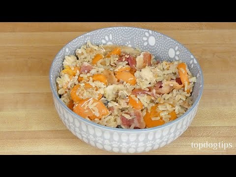 Healthy Homemade Cat Food Recipe with Salmon