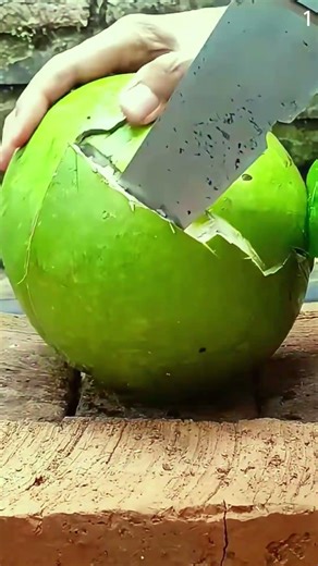 Super tjaam pisau untuk membelah buah maja dengan mudah #shorts