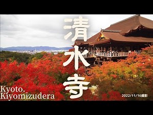 [4K]【清水寺の紅葉】2022年見頃を迎えた京都の紅葉　[Autumn leaves of Kiyomizudera Temple] Autumn leaves of Kyoto in 2022
