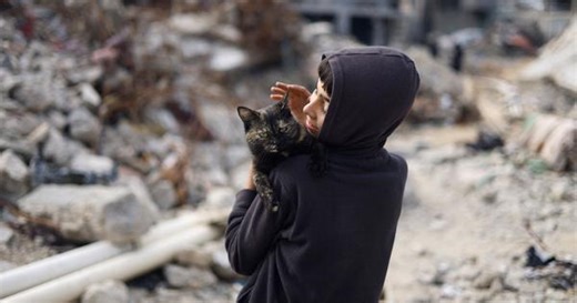 In times of endless strife, what can the ordinary person do to build peace?