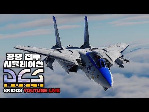 PvP 전투비행심 게임방송(방송 끊겨서 두번째)🦅DCS 월드🦅QHD 60FPS