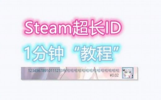 一分钟学会Steam超长ID！真的很简单 APEX离谱ID