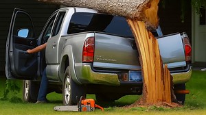 Pricey Mistakes: Hilarious Moments You Won’t Believe Went Wrong