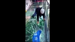 Glass bridge in China cracks as part of prank, complete with surround sound http://bit.ly/2xtghap | AsiaOne