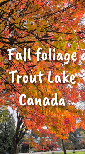 Fall foliage Canada Trout Lake, BC, Canada #britishcolumbia #vancouver #canada #vancouverbc | Explore Vancouver
