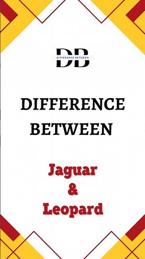 Difference Between Jaguar and Leopard | Wild cats, Wilder Differences: Jaguars & Leopards