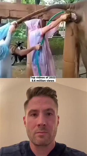 Recapping some of my top videos of 2022! #elephant #wildlife #zookeeper #disimpaction #constipation | Mary Johnson