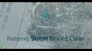 1.7K views | Your gutter is the first line of defense against flooding. Discover how to keep water flowing where it *should* go to safeguard your home and community from costly floods. For more on the Flood Protection Program, visit VirginiaBeach.gov/RippleEffect | Virginia Beach City Government | Facebook