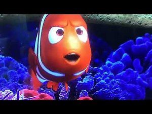 Finding Nemo 2003🔺GET BACK HERE NOW!😡🏫🔺AAAAH!😫👊🏻😡🏫🔺😡🏫🔺🏫Walt Disney🏫