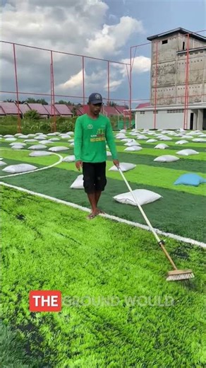 Why Is Black Material Added to Grass