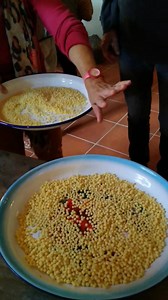 Adesso #austis ....oggi si prepara la "fregula" Autunno in Barbagia | Incantevole Sardegna