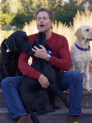 Our pups are head over paws for their new friend @roblowe 💙🐾 Anderson the guide dog, however, is keeping it professional. VD: Rob Lowe sits on wooden steps with 2 black Labradors and 1 yellow Labrador. He is asking all of them for kisses but only 2 of them want to give him kisses. #GuideDogsOfAmerica #TenderLovingCanines #RobLowe #DogKisses #WorkingDogs #ValentinesDay #PuppyKisses