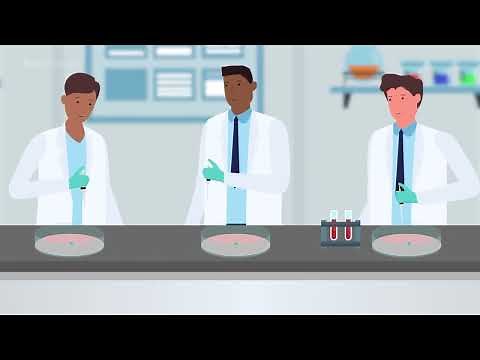 Reproducibility of 3D cell cultures