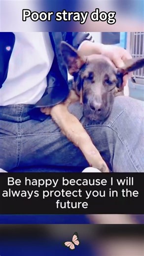 Phillies land All-Star closer Jhoan Duran ahead of MLB trade deadline 👀🔥 #JhoanDuran