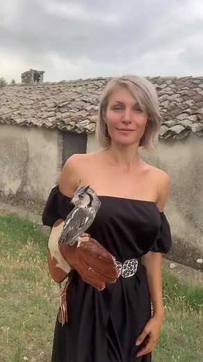 20K views · 1.8K reactions | Passeggiate wild Info 3208424540Domenica 16 luglio ore 10.30 #falcong#falcong #passeggiatewild #festivaldelleaquile #abruzzo #italy #wild #wildexperience #falconry #life #falcon #giovannigranati #athenajitariuc#montigemelli www.montigemelli.itwww.falcong.it www.fortezzadicivitella.it Fortezza Civitella del Tronto | Falcong | Facebook