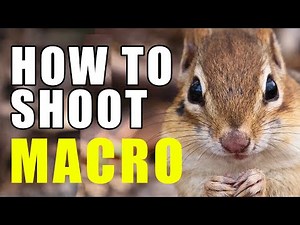 How to shoot macro spring photos like a pro!