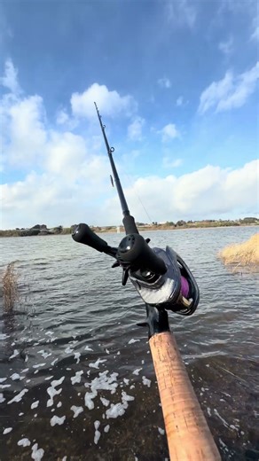 imz リミットブレイカーキャスト #fishing #バスコンdiy #carpfishing #タ釣ル #バス釣り #陸釣り #carp #bassfishing