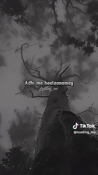#dhivehisong #loading_mv