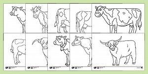 Cow Template Pack To Colour