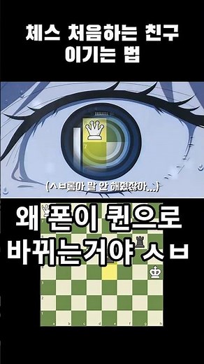 체스 처음 하는 친구 이기는 법