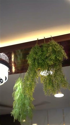 Transform Your Room with These Stunning Ceiling Ideas!