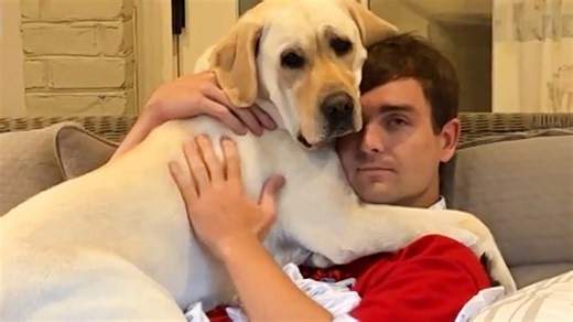 My dog is obsessed with my boyfriend