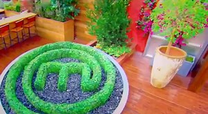 MasterChef (US) Season 6 - Episode 12