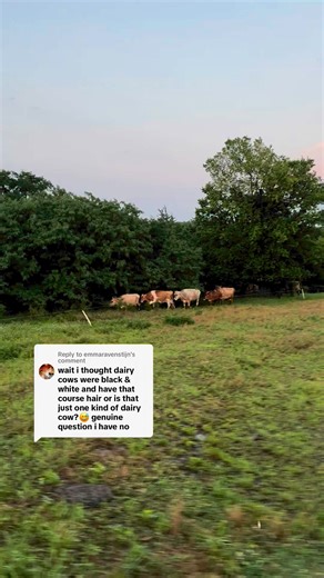 7.4K views · 64 reactions | totally understandable question! Most...