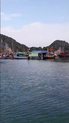Ben Beo floating fishing village, Cat Ba, Vietnam