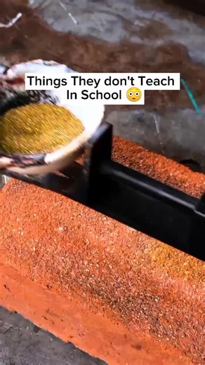 Things They Don't Teach in Schools 😳. #life #truths #usatok #usa🇺🇸 #fyp