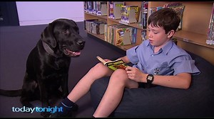 195K views · 1.8K reactions | Wag Therapy – how dogs are helping kids manage anxiety and autism. | Today Tonight | Facebook