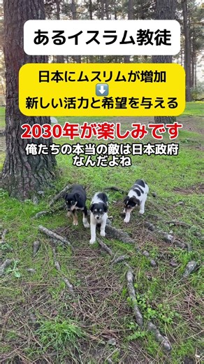 【は？】ムスリム増加で日本に希望と活力を与える #shorts
