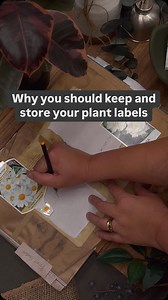 Don’t throw away your plant labels! Here’s why you need to keep them: 📌 To know where to plant them in the garden (full sun, part sun, shade, indoors etc.) 📌To refer to the watering schedule, the name of the plant (in case you ever want to buy another!) and care tips. 📌 To prevent the labels from fading from the elements outdoors, so you can refer to them for years to come. Flower Power tip: Instead of sorting your plant labels alphabetically, categorise them by each area of your garden (fron