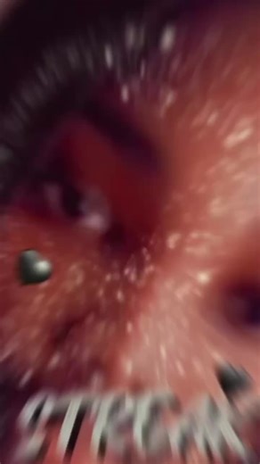 Haley Quinn (@haley.quinn6)’s videos with original sound - 🤎bella