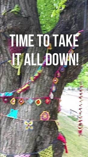 Yarn bomb over! Needed a trick to get mine down from the tree!