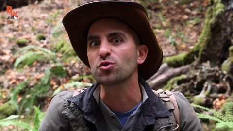 The hidden dangers behind toxic newts