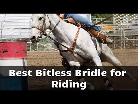 Best Bitless Bridle for Riding - Get it Now for your Horse