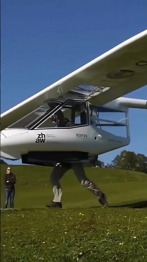 Archaeopteryx Glider by Ruppert Composite