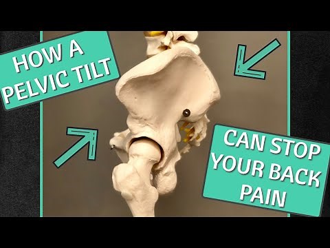 How A Pelvic Tilt Can Stop Your Back Pain. How To Do