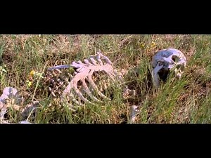 Why Don't He Write? (Director's Cut)