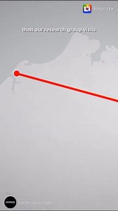 39K views · 1.3K reactions | The malamutes are amped and want to return home!! Check out this behind-the-scenes video of what awaits us! The malamutes have been loving our training together, but they want to go to the land where they originated. You can feel the excitement in our kennel!! | Joe Henderson / Alaskan Arctic Expeditions | Facebook